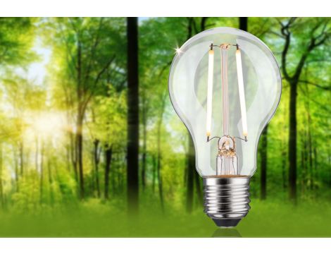 Źródło światła LED ECO LINE AGL 60 2,5W 470lm E27 3StepDim 3000K klasa B 230V przezroczysty / szkło - 3