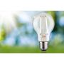 Źródło światła LED ECO LINE AGL 60 2,5W 470lm E27 3StepDim 3000K klasa B 230V przezroczysty / szkło - 5