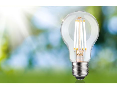 Źródło światła LED ECO LINE AGL 60 4,3W 806lm E27 3StepDim 3000K klasa B 230V przezroczysty / szkło - 3