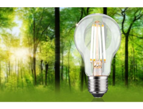 Źródło światła LED ECO LINE AGL 60 4,3W 806lm E27 3StepDim 3000K klasa B 230V przezroczysty / szkło - 4