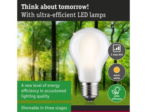 Źródło światła LED ECO LINE AGL 60 2,5W 470lm E27 3StepDim 3000K klasa B 230V mleczny mat / szkło - 8