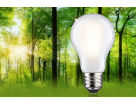 Źródło światła LED ECO LINE AGL 60 5,7W 1055lm E27 3StepDim 3000K klasa B 230V mleczny mat / szkło - 3