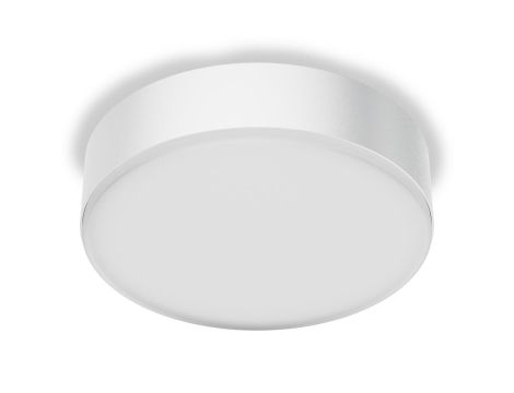 Oprawa LED Steinel RS PRO A20 SC 12W 4000K IP54 IK10 230V biały / aluminium