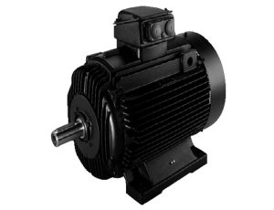 Grundfos - Standardowy silnik 3-fazowy MMG100LB-H1 83L05210