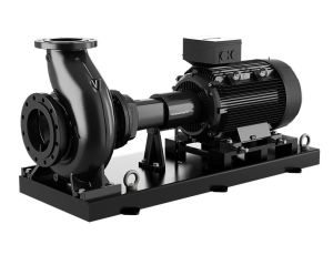 Grundfos - Jednostopniowa pompa odśrodkowa z wlotem osiowym i sprzęgłem NK 32-250/206 AA2F2AESBQQEFW3 98973537