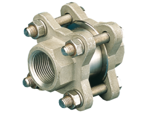 Zawór zwrotny do gwintowany wewnętrznie Typ 812XT 1