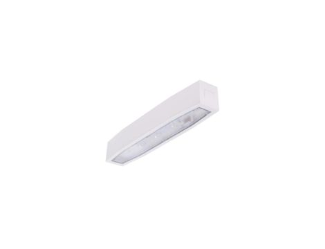 Oprawa awaryjna N/T SUPREMA SO 150 SA 3H IP54 AT 94504 sieciowo-awaryjna natynkowa do stref otwartych AUTOTEST INTELIGHT-94504