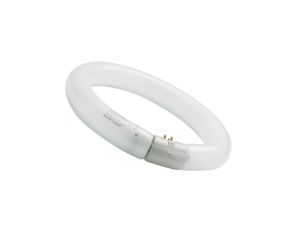 Świetlówka kołowa FC32/840 G10q SYLVANIA