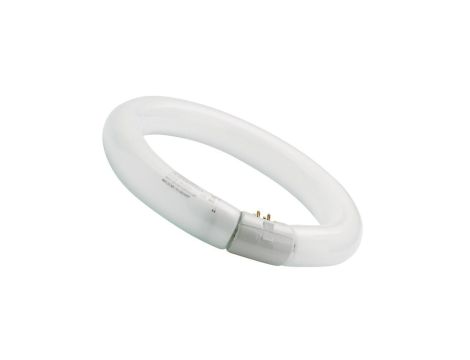 Świetlówka kołowa FC32/840 G10q SYLVANIA