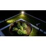 Zestaw 2x oprawa ogrodowa wbijana SPOT GARDEN 24V  LED nightmatic 7,84W 363lm 1800-4000K RGBWW  IP65  IK03 antracyt / aluminium plus zasilacz 35W plus przewód plus trójnik - 4