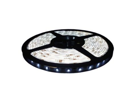 Taśma 12VDC 300 led smd 2835 ip65 standard zimna biała 4,8W/1m - rolka 5m LUX02303