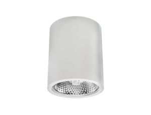 Oprawa sufitowa natynkowa OVAL MAXI-AR111 biała matowa (stop aluminium) LUX06194