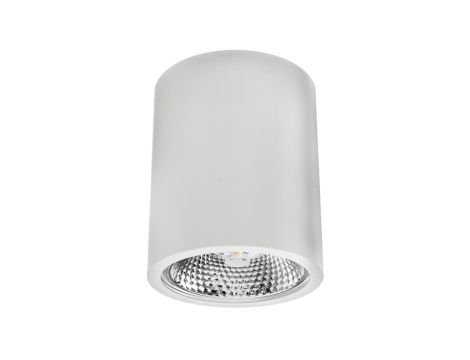 Oprawa sufitowa natynkowa OVAL MAXI-AR111 biała matowa (stop aluminium) LUX06194