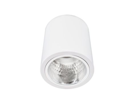 Oprawa sufitowa UDINE-30 1xE27 talowa, biała LUX02150