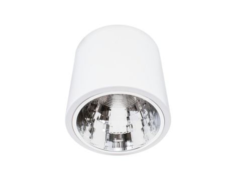 Oprawa sufitowa UDINE-60 1xE27 stalowa, biała LUX02153