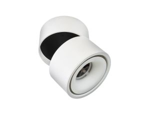 Lampa LED RODEO biała 12W 3000K sufitowa natynkowa regulowana