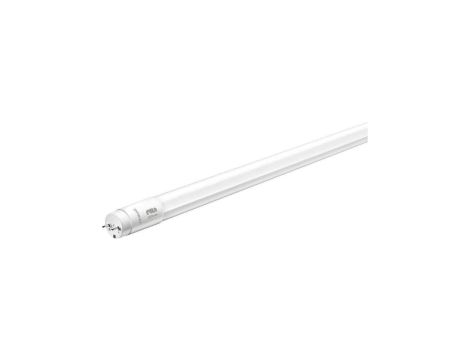 Philips PILA Świetlówka led T8 60cm neutralna 8W 4000K G13 800lm 8727900966923