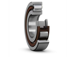 SKF - Łożysko walcowe jednorzędowe, NUP 2313 ECP 65.0 x 14 x 48.0