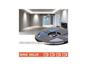 Taśma Delux 24V 160led 6500K 2000lm SMD2835 (10) PL5Y