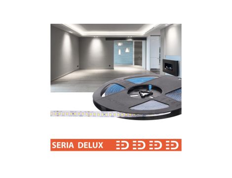 Taśma Delux 24V 160led 6500K 2000lm SMD2835 (10) PL5Y