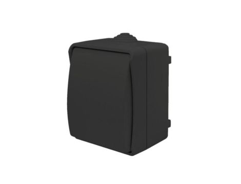 Łącznik świecznikowy natynkowy Aqua Plus IP54 antracyt / 40332