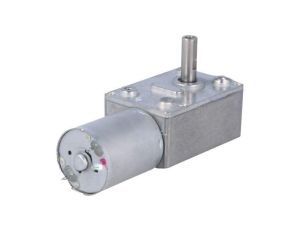 Silnik: DC z przekładnią ślimakową 39VDC 1,7A Oś: nacięcie D FIT0489-B