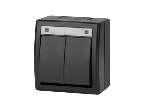 Łącznik świecznikowy podwójny natynkowy hermetyczny IP55 antracytowy 10AX Aquant 2K