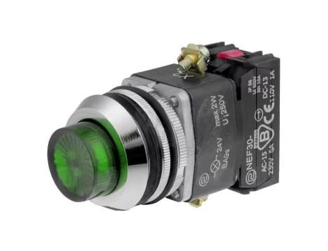Przełącznik przyciskany, Ilość pozycji stabilnych: 1, NC + NO, zielony, 24V, 30mm NEF30-WLZXY-24VDC