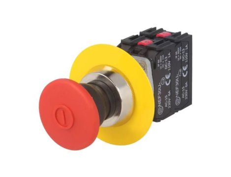 Przełącznik bezpieczeństwa, NC x2 + NO x2, Ilość pozycji stabilnych: 2, 30mm NEF30-UDRC2X2Y