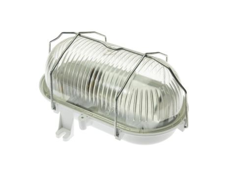 Oprawa OWAL 100, E27, 18W, klosz przeźroczysty szklany, podstawa biała, siatka metalowa, 230V, IK06, IP44 /D.31524/