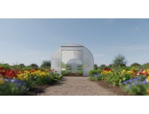 AWTOOLS SZKLARNIA OGRODOWA TUNEL BIAŁA 3x6x2m - image 2