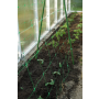 SIATKA PODPORA DO ROŚLIN PNĄCYCH PLANT NET 2x20m - 5