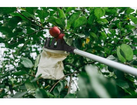 ZBIERAK DO OWOCÓW V-SERIES TELESKOPOWY TRZONEK 3,6m - 3