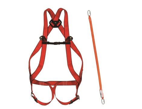 CLIMAX ZESTAW BASIC 10 PLUS + AMORTYZATOR 31A 30/30+2 KARABIŃCZYKI