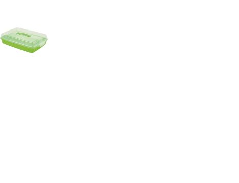 CURVER POJEMNIK PROSTOKĄTNY DUŻY /TRANSPARENTNY/ ZIELONY