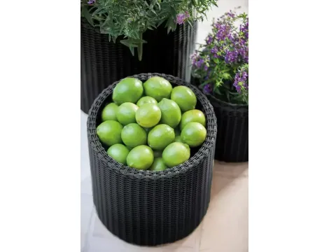 KETER ZESTAW 3 DONIC S+M+L BRĄZOWY - 2