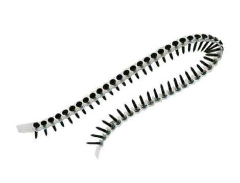 DEWALT WKRĘTY DO METALU 3,5x35 /1000szt. DO DCF620/1 - 2