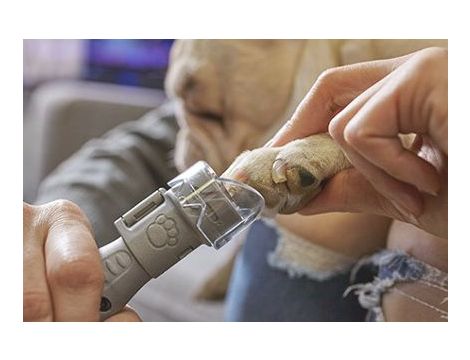 DREMEL SZLIFIERKA DO PAZURÓW PET GROOMING SET - 5