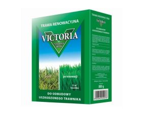 TRAWA VICTORIA RENOWACYJNA 0,8 kg Ozn. partii: PL430/09/10060/M543/A