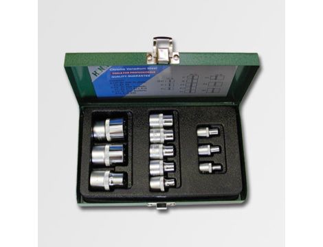 HONITON NASADKI 11cz. TORX  E4-E20  4311