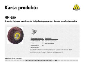 K.ŚCIERNICA LIS.NASADZANA 250x100mm P 80 .