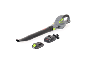 NAC DMUCHAWA AKUMULATOROWA 20V 1x2Ah