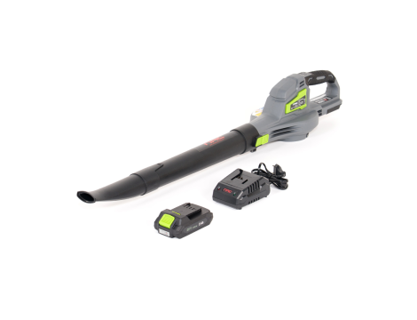 NAC DMUCHAWA AKUMULATOROWA 20V 1x2Ah