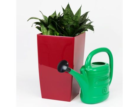 PP.KONEWKA SPRING  3l  ZIELONA .