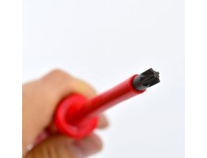 ROOKS WKRĘTAK IZOLOWANY PZ2/SL6 x 100mm ...