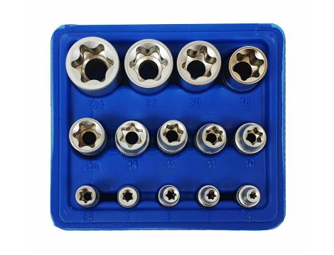 ZESTAW NASADEK TORX 14el./SILVER