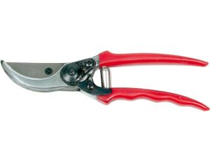 VOREL SEKATOR 