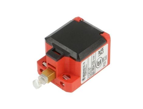 Wyłącznik krańcowy NO x2 10A max.240VAC Il.otw.mont: 2 plastik -30...80C C2-E2 ST