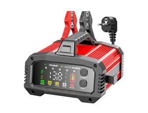 EM PROSTOWNIK FOXSUR 12V&24V 25A LCD