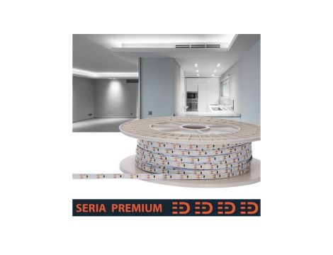 Taśma Premium 12V 60led 6500K 500lm SMD2835 PL5Y 1m